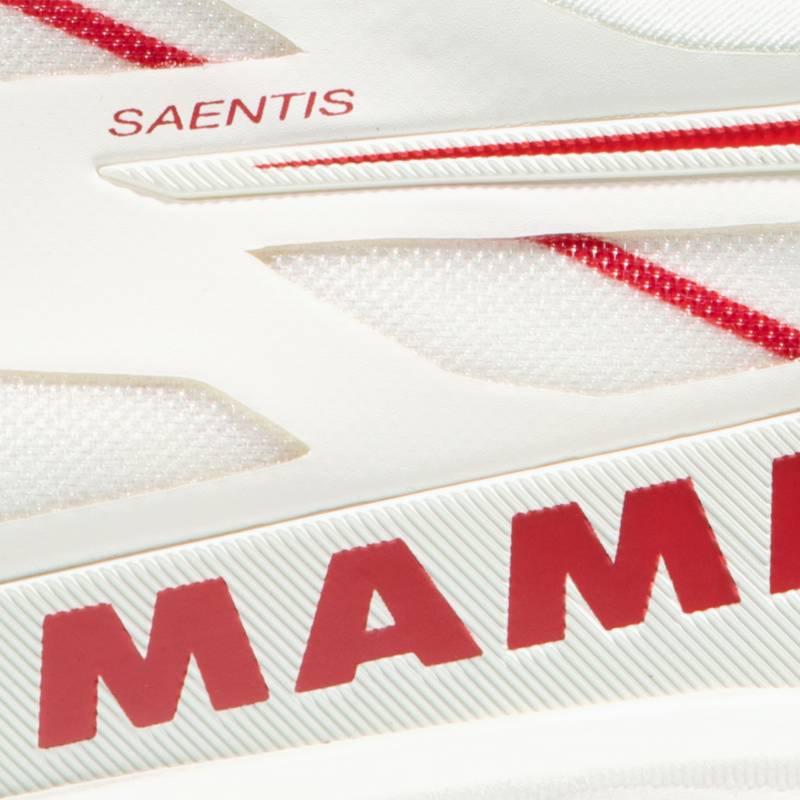 Mammut Saentis Low Multifunktionsschuhe Herren