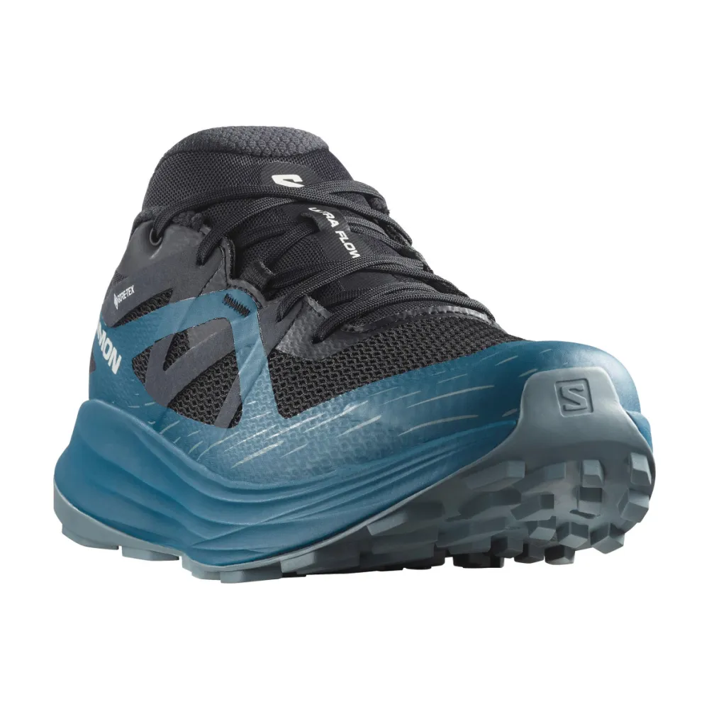 Salomon ULTRA FLOW GTX L47473900 / bunt