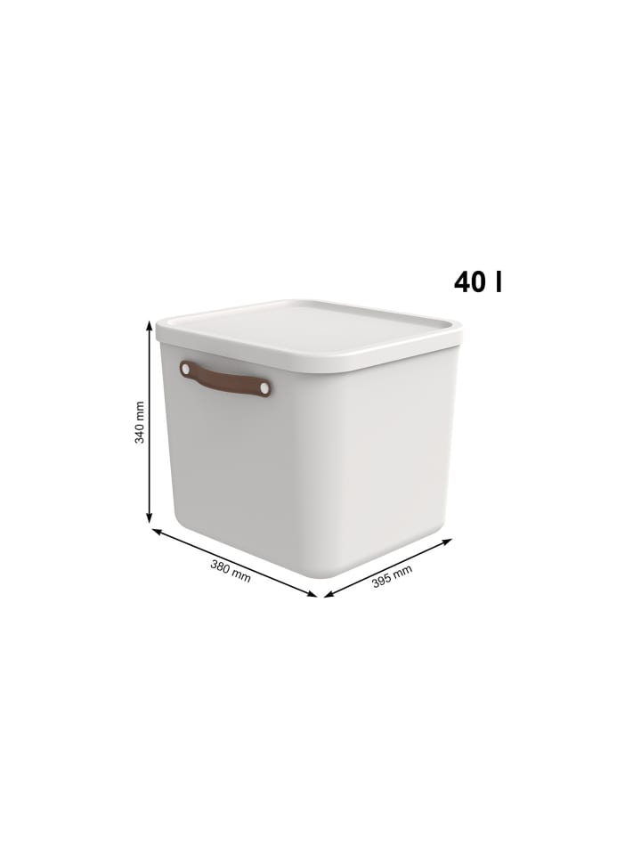 Rotho Aufbewahrungsbox mit Deckel 40 l MALOJA in Mistelweiß günstig kaufen onesize