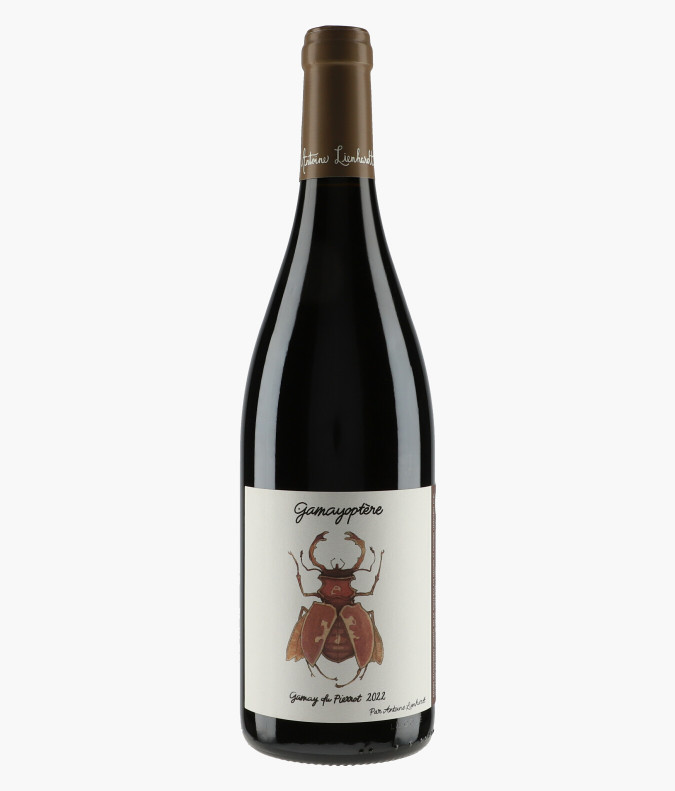 Côteaux Bourguignons Gamayoptère Gamay du Pierrot 2022LIENHARDT ANTOINE