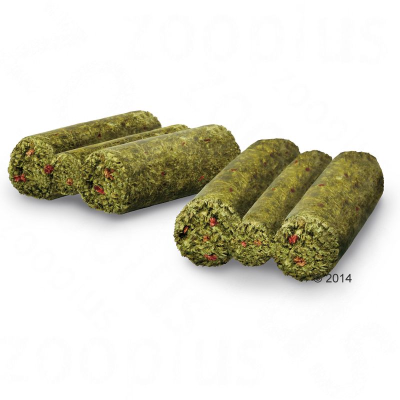 Bunny MeerschweinchenTraum BASIC zu TOP-Preisen
