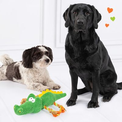 Doglove Hundespielzeug Krokodil
