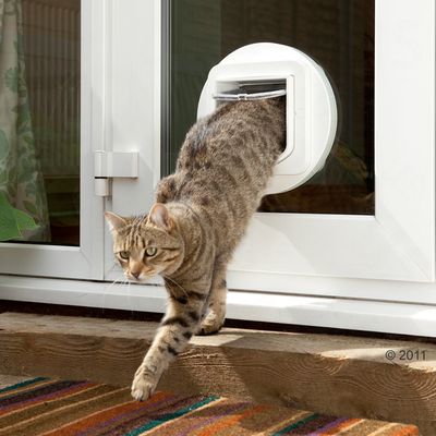 SureFlap Katzenklappe mit Chip