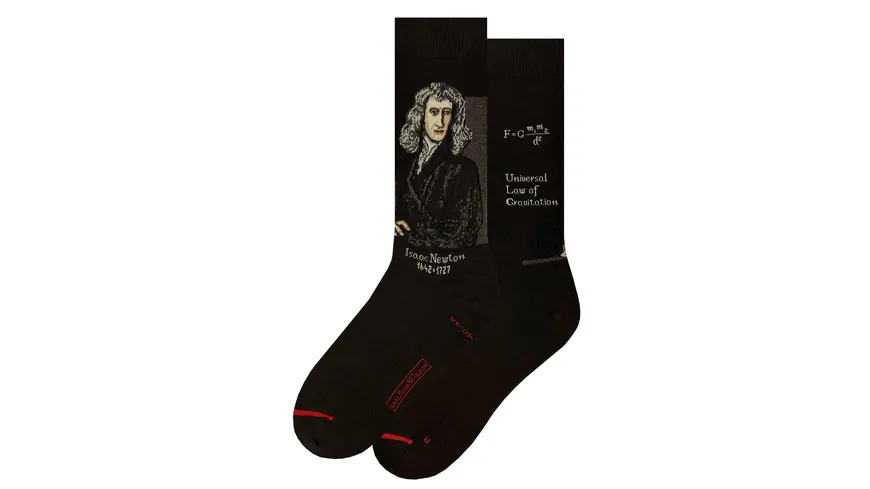 MuseARTa Unisex Socken Science & History - Isaac Newton Black