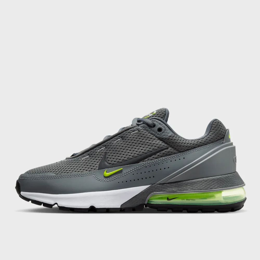 Nike Air Max Pulse FV6653-001 / grau