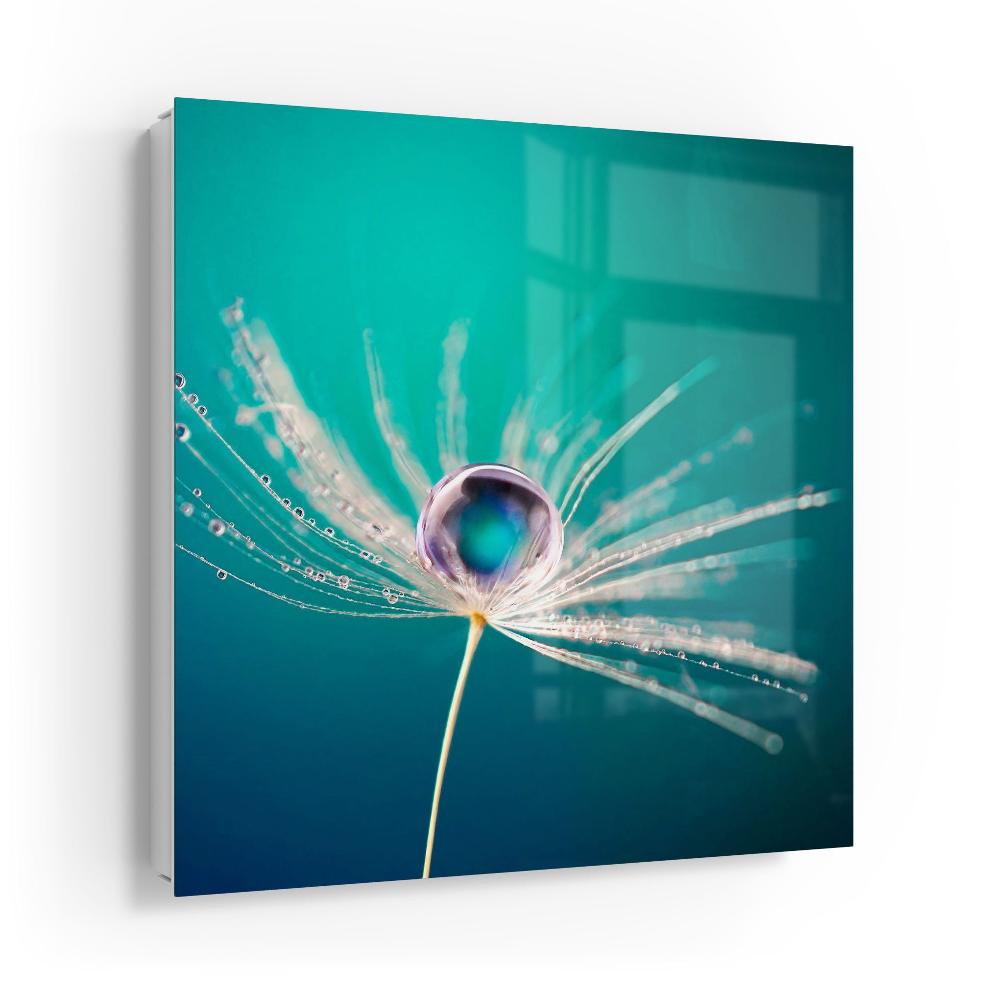 DEQORI Schlüsselkasten 'Samen mit Wassertropfen', Glas Schlüsselbox modern magnetisch beschreibbar