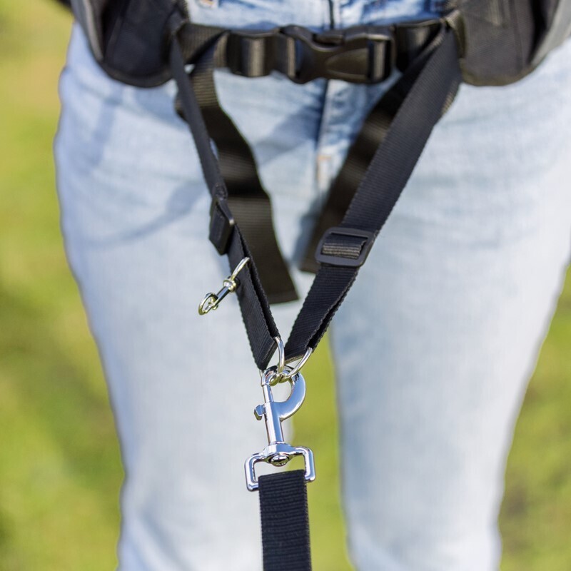 Trixie Snackbeutel Trixie Dog Activity Multi Belt