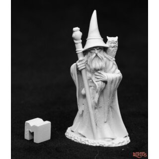 Anuminar Winterbeard Wizard