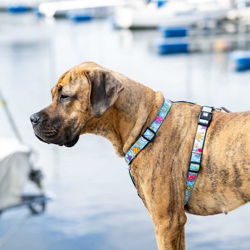 Max & Molly H-G﻿eschirr Blue Ocean zu TOP-Preisen