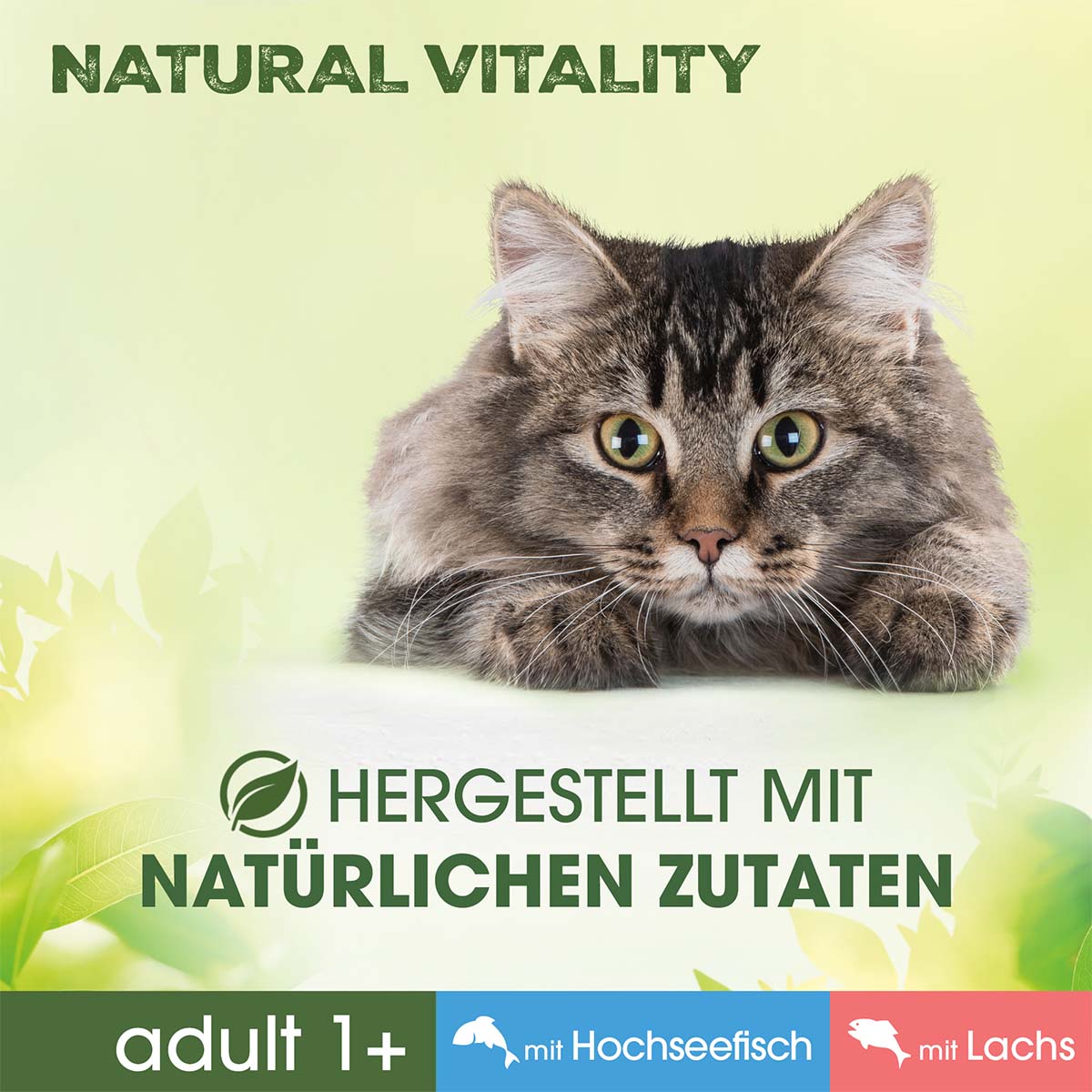 PERFECT FIT Katze Natural Vitality Adult 1+ mit Hochseefisch und Lachs