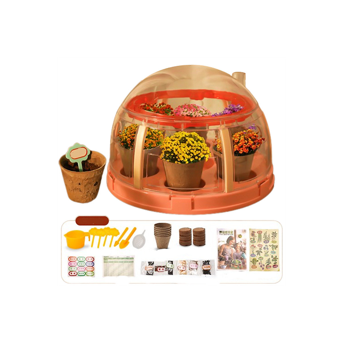 Sunshine Planting Room Pflanzensamen-Set für Kinder Wissenschaftliches und pädagogisches Experiment-Puzzle, kreatives Topfpflanzen-Set