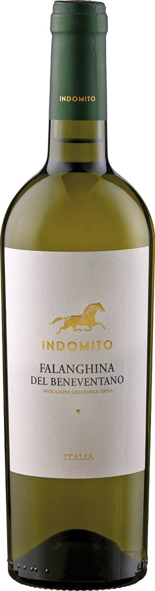 Weingut Indomito Falanghina del Beneventano 'Indomito' 2022