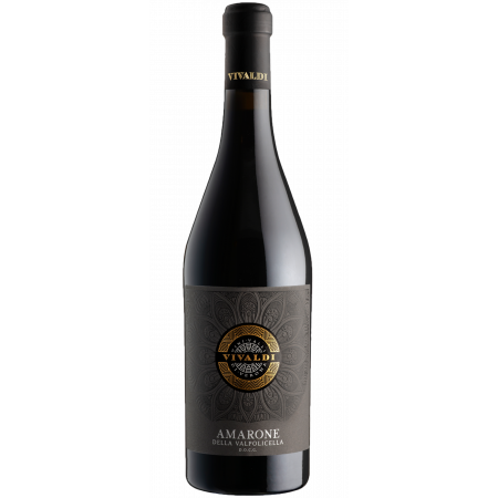 AMARONE DELLA VALPOLICELLA 2020 - VIVALDI