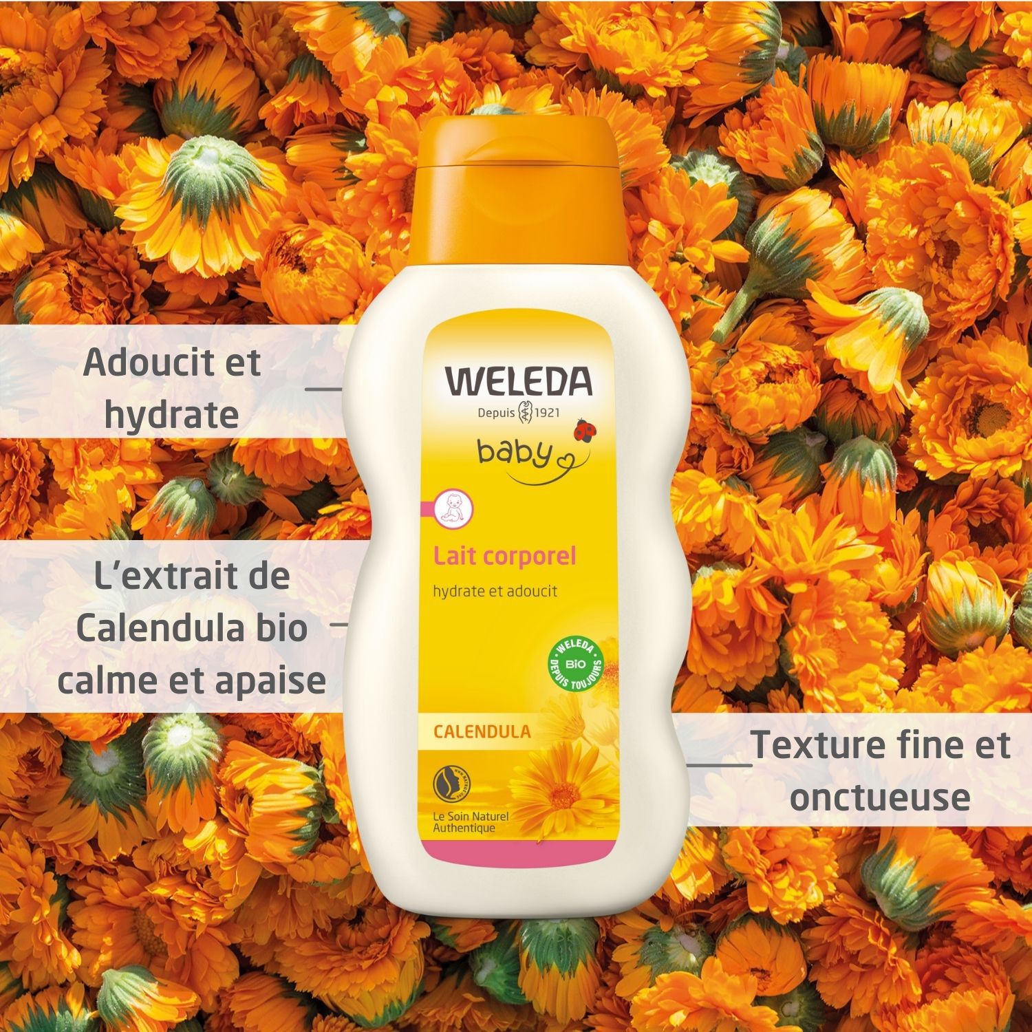 Weleda Calendula Baby Lait Corporel pour Bébé - Hydrate et Adoucit - Senteur Douce et Légère - 200 ml
