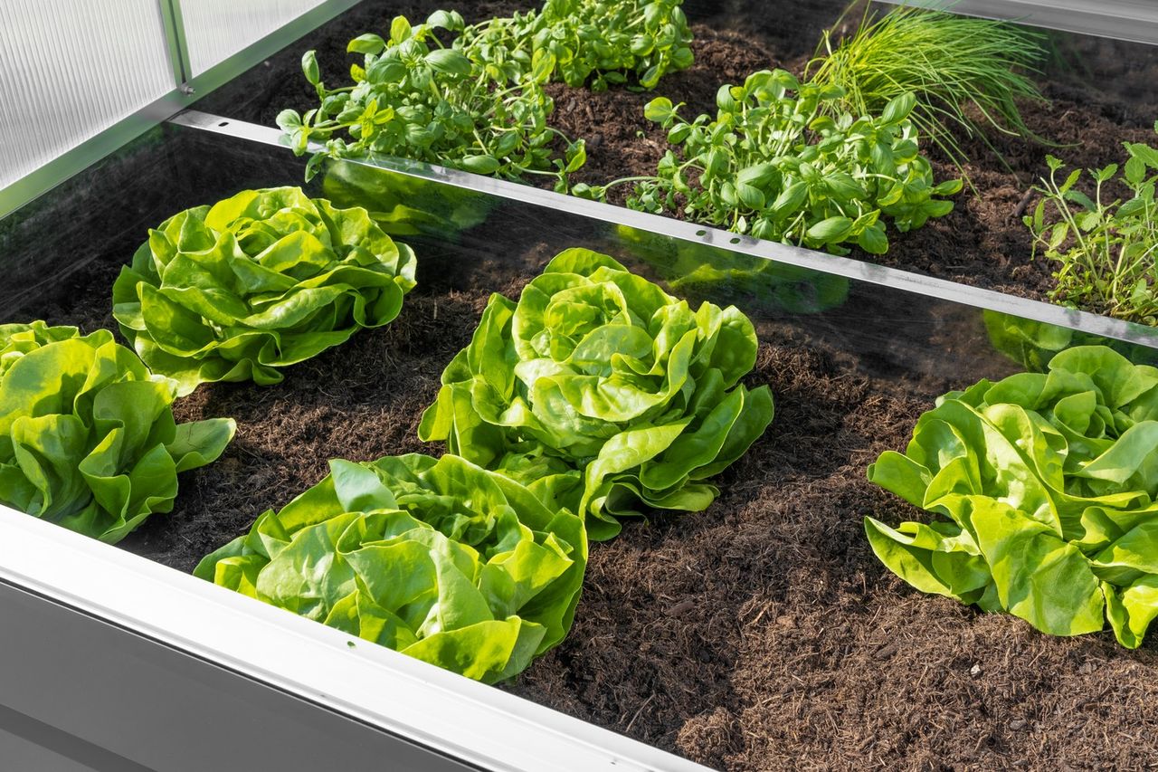 lovingHome® Garden Doppeltes Balkon-/Garten-Hochbeet - Anthrazit