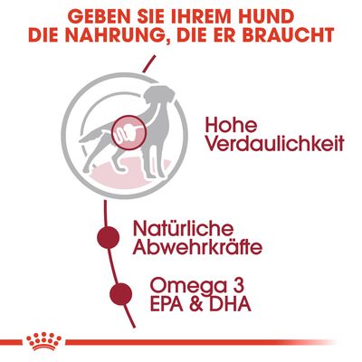 Royal Canin Medium Adult in Soße