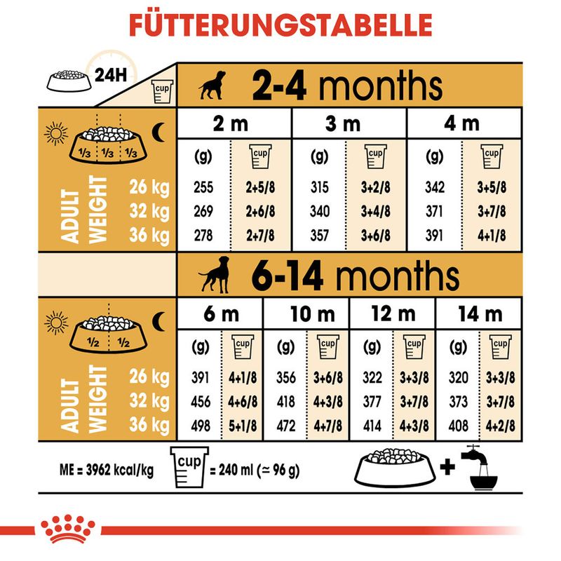 Royal Canin Boxer Puppy zu TOP-Preisen