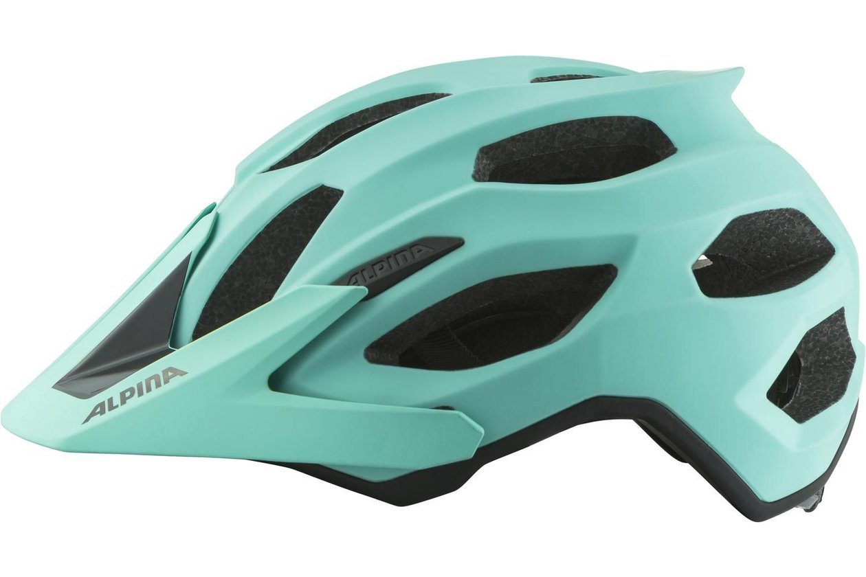 Alpina Carapax 2.0