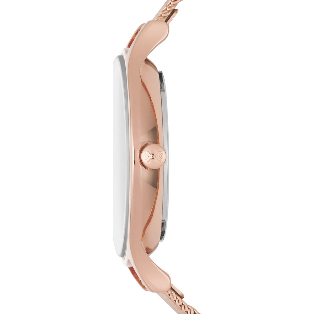Skagen Montre pour femme Acier inoxydable Montre