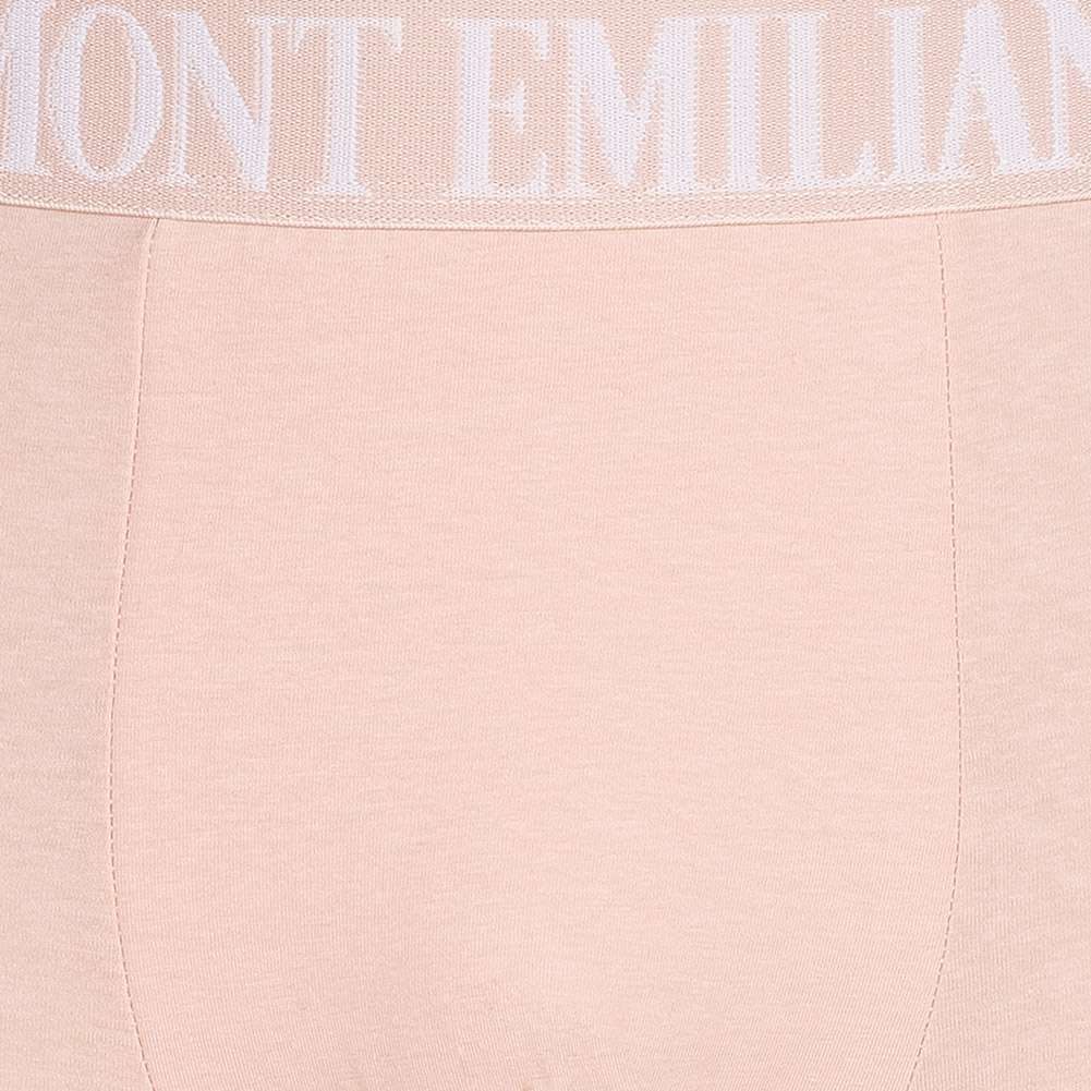 MONT EMILIAN 