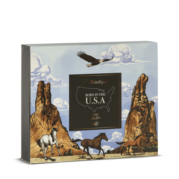 Coffret 4 Wit Born In The USA