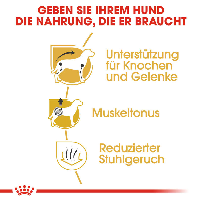 ROYAL CANIN Hundetrockenfutter ROYAL CANIN Dachshund Adult 7,5 kg