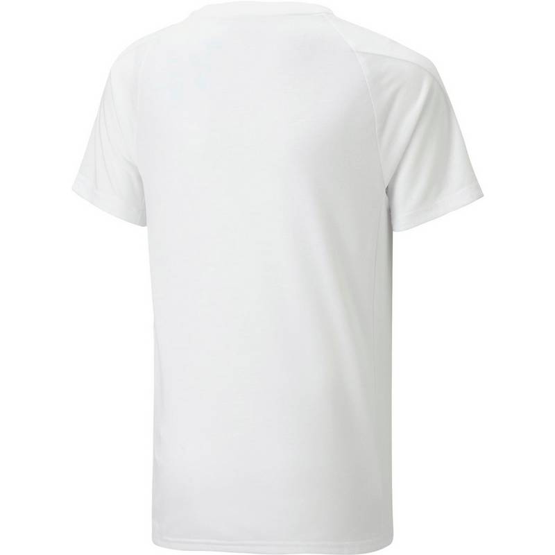PUMA EVOSTRIPE Funktionsshirt Jungen