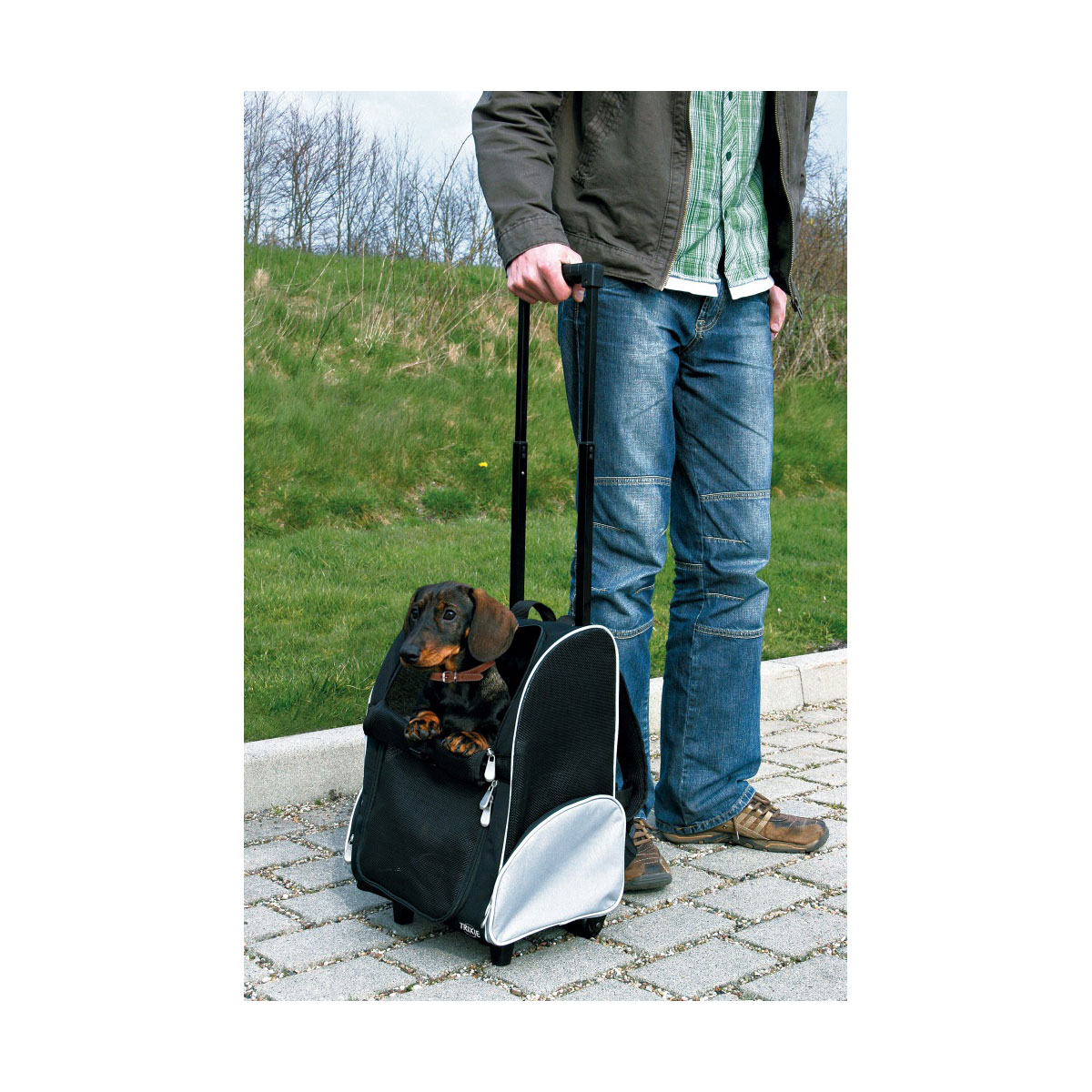 TRIXIE Tbag Trolley 32x45x25cm aus Nylon schwarz bei ZooRoyal