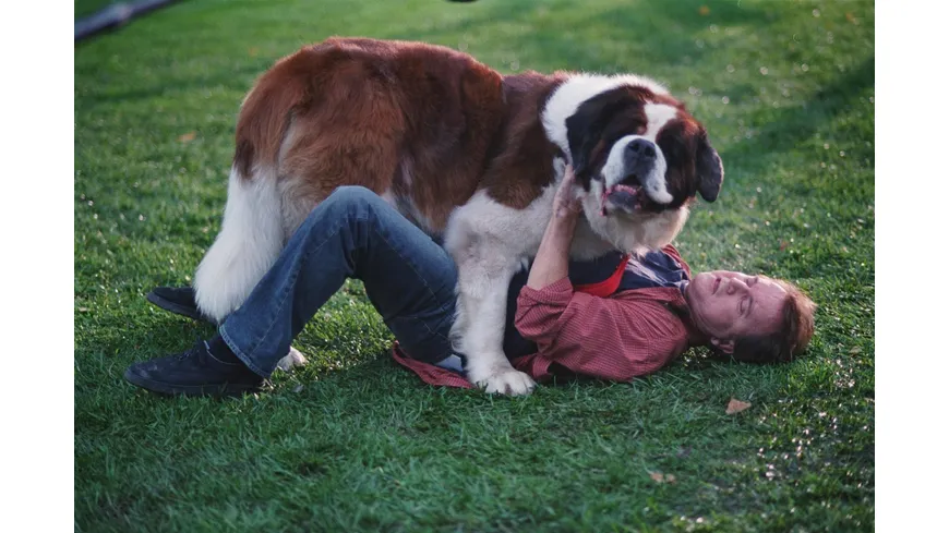 Ein Hund namens Beethoven - Komplettbox  [8 DVDs]