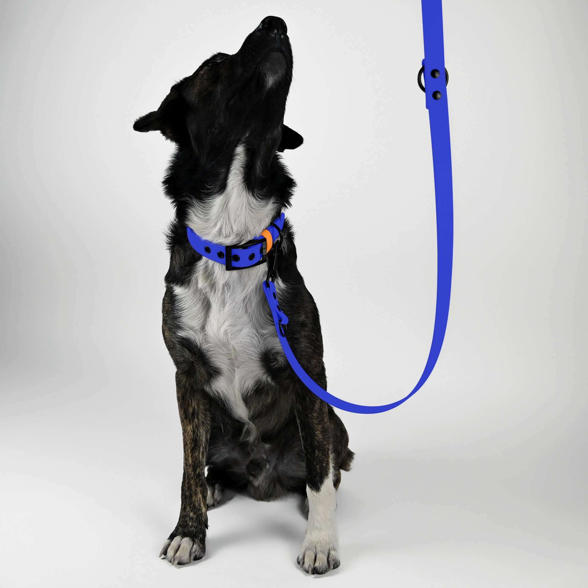 THE DOG IDEA Hundeleinen THE DOG IDEA Biothane Hundeleine Blau
