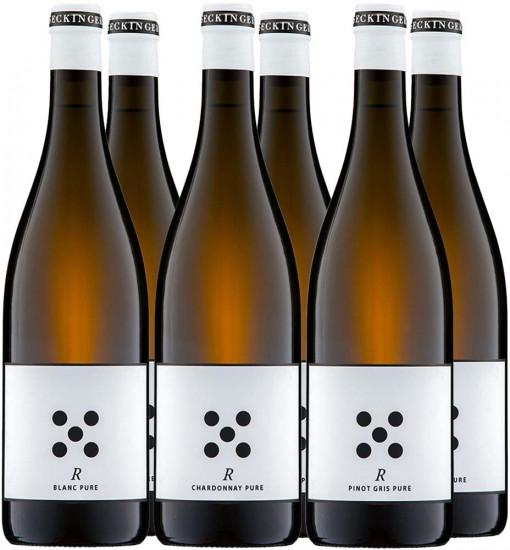 Seckinger Kennenlern-Paket