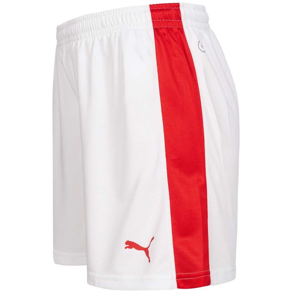 DHF Dänemark PUMA Damen Handball Shorts 750674-12
