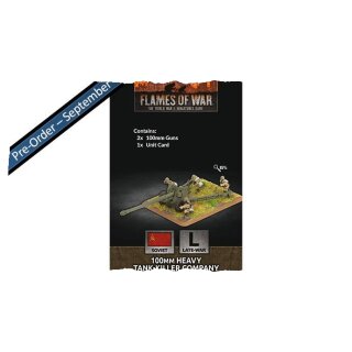 100mm BS-3 gun (x2)