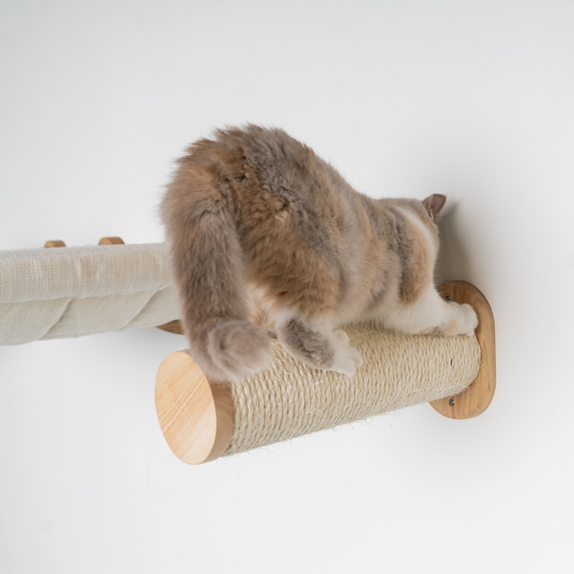 RHR Quality weiteres Katzenspielzeug RHR Quality RHRWandmöbel Wand Sisalstämmen Set creme