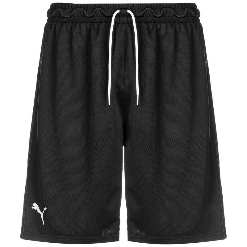 PUMA Hoops Team Practice Basketball-Shorts Herren