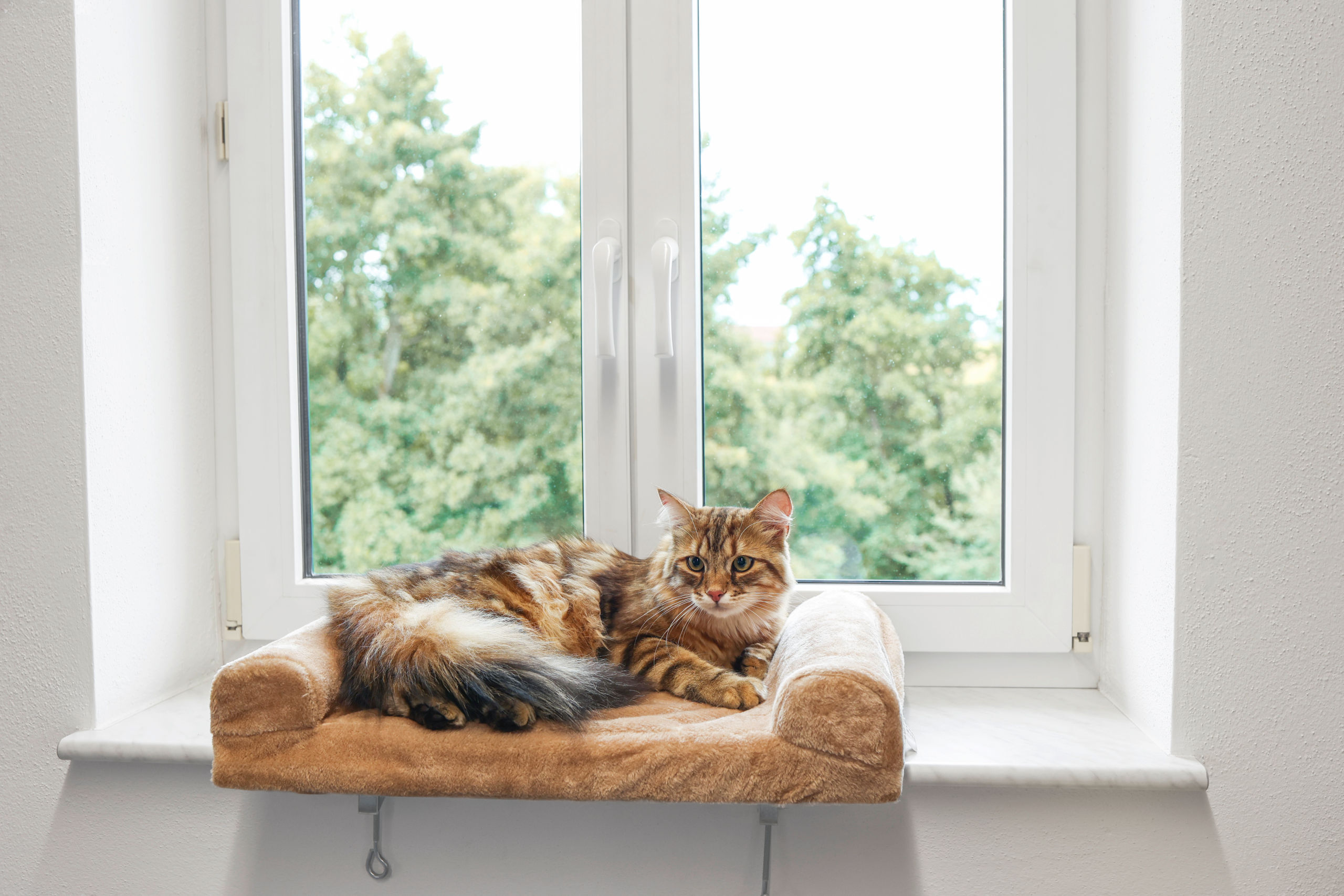 Kerbl Katzenhängematten & Fensterliegeplätze Kerbl Fensterliegebrett