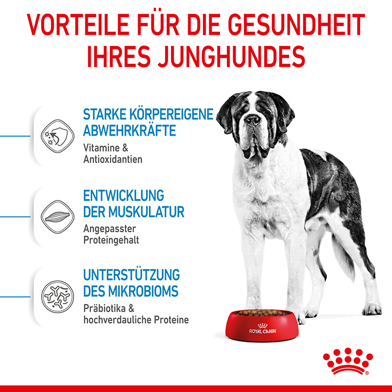 ROYAL CANIN Hundetrockenfutter ROYAL CANIN Giant Junior 2x15 kg