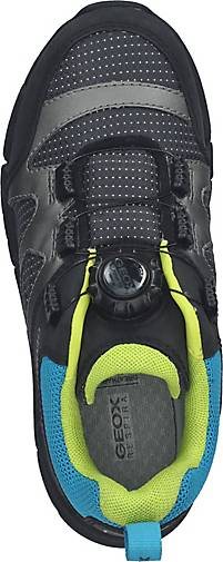 Geox Sneaker