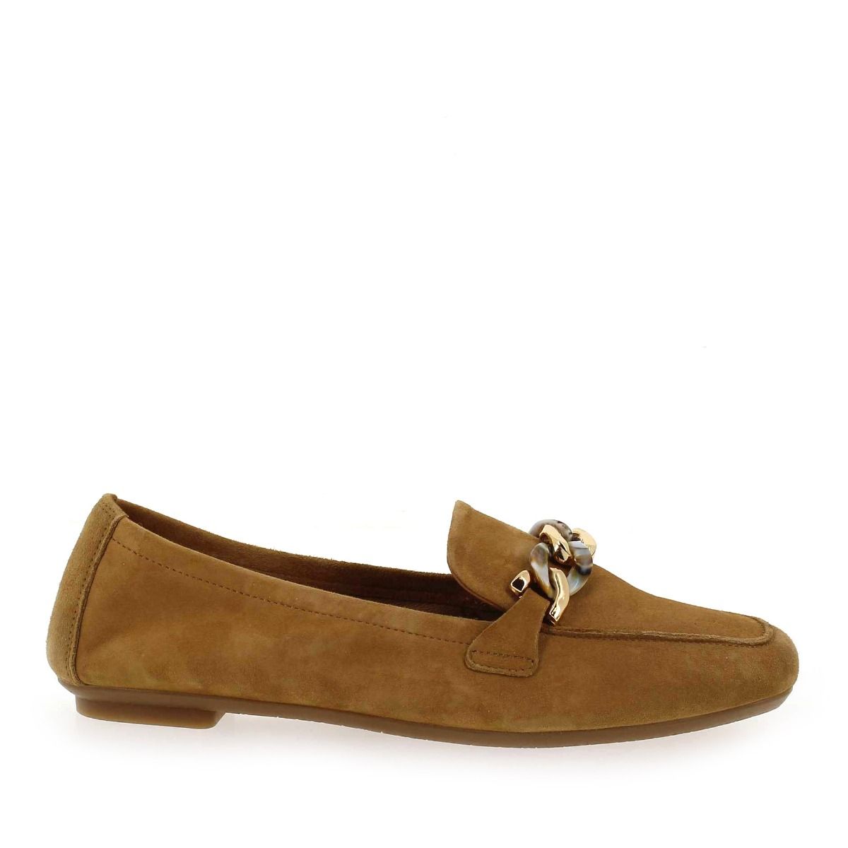 Reqins  HOREL - Camel