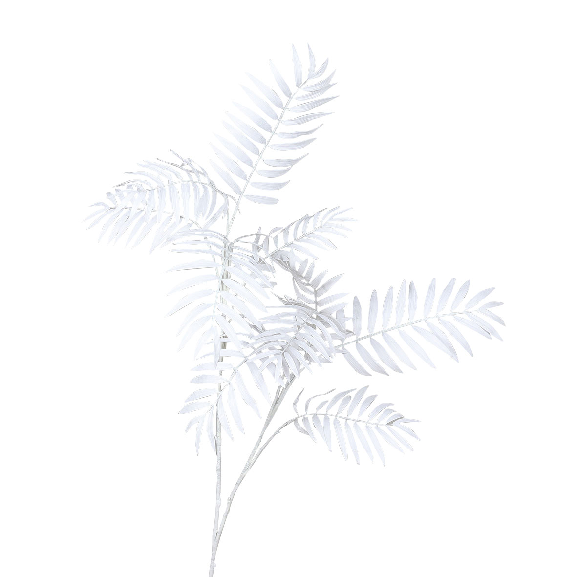 DPIChicozweig 120cm