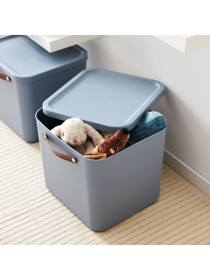 Rotho Aufbewahrungsbox mit Deckel 40 l MALOJA in Misty blau günstig kaufen onesize