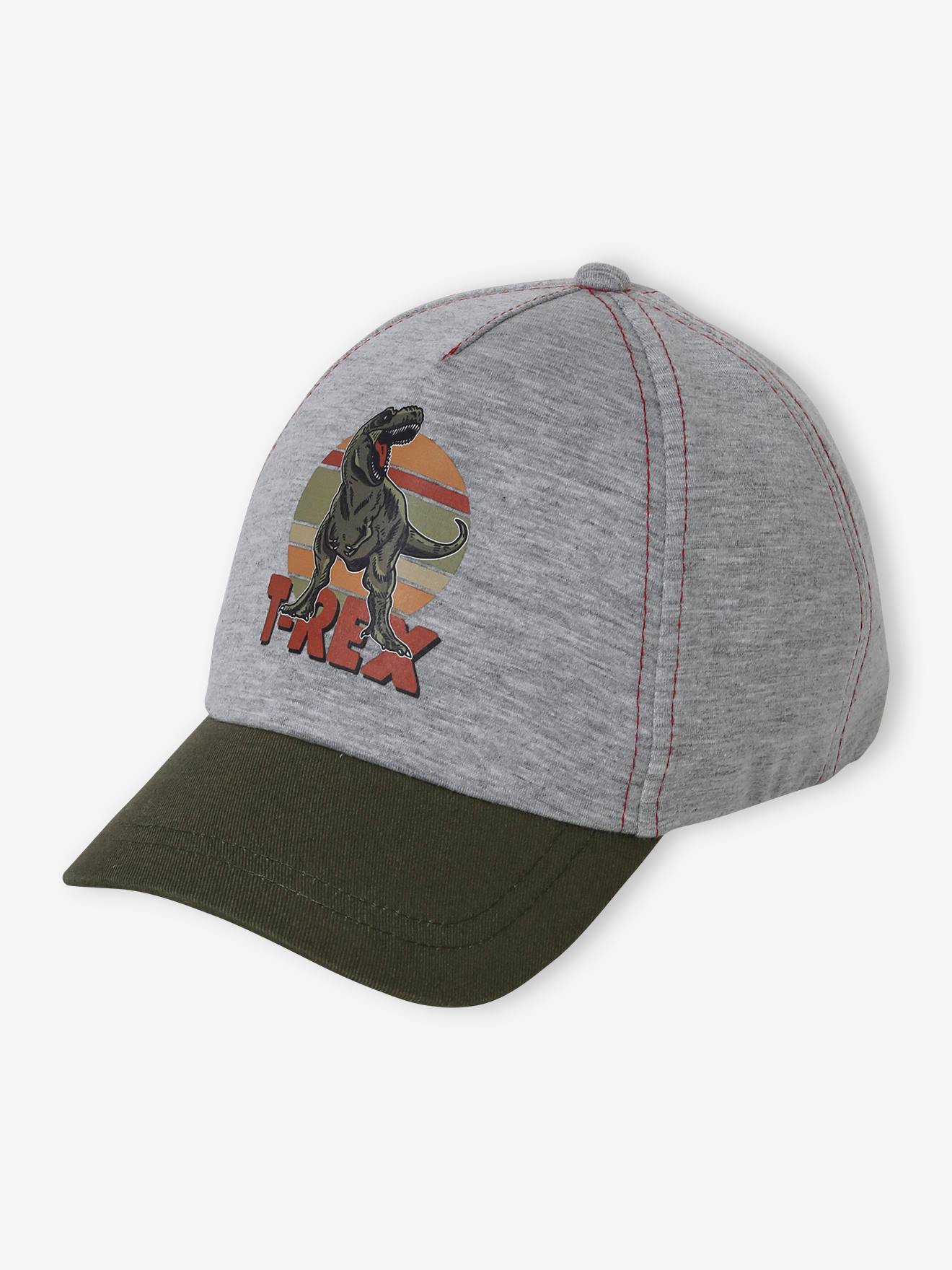 Casquette T-Rex garçon gris chiné