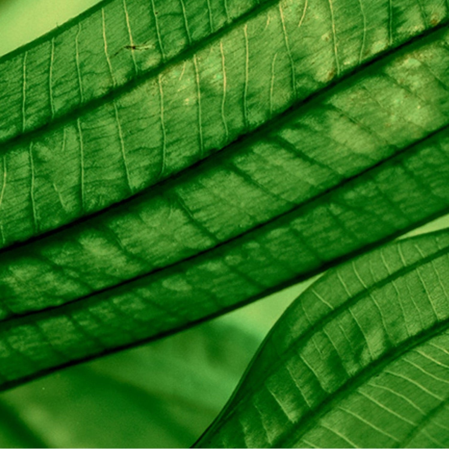 Biotherm Sérum régénérant hidratación y éclat