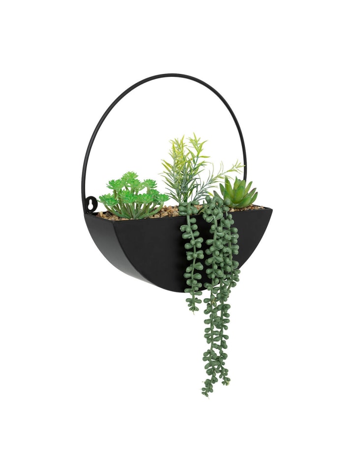 Atmosphera Créateur d'intérieur Zimmerpflanze in schwarz günstig kaufen onesize