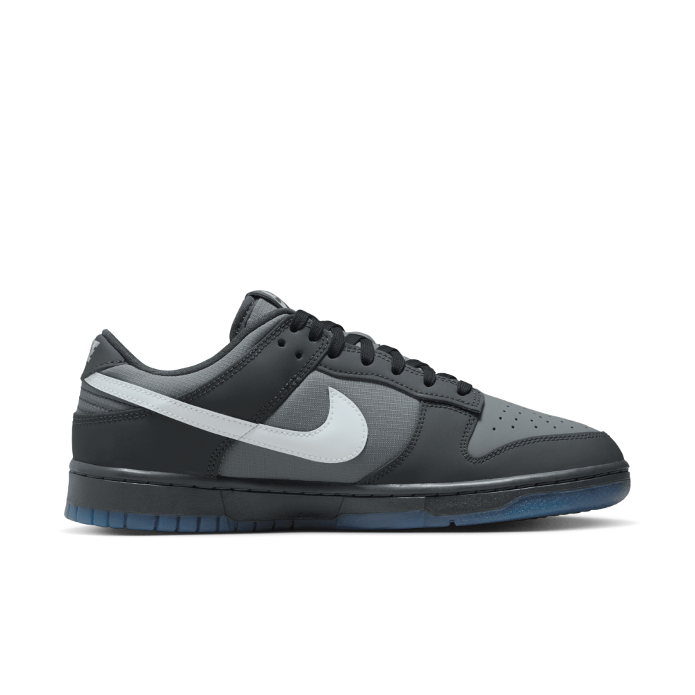 Nike Dunk Low FV0384-001 / grau