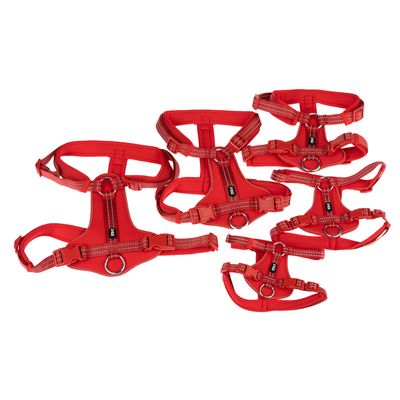 TIAKI Geschirr Neoprene, rot