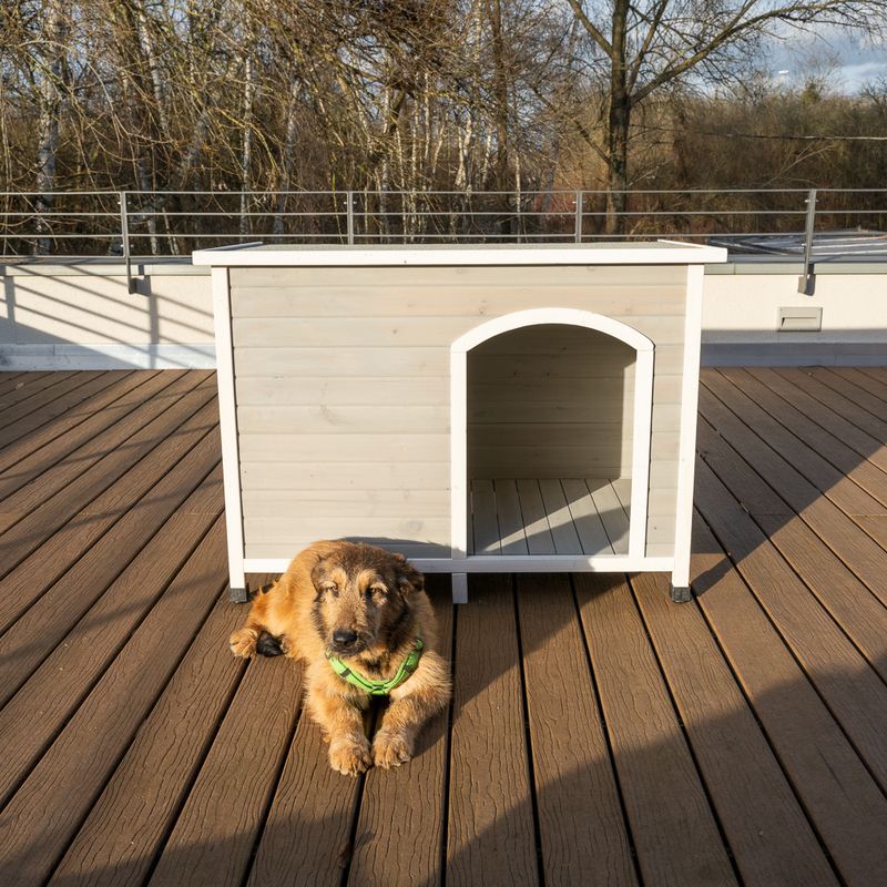 Modern Living Bergen Faltbare Hundehütte zu TOP-Preisen | bitiba