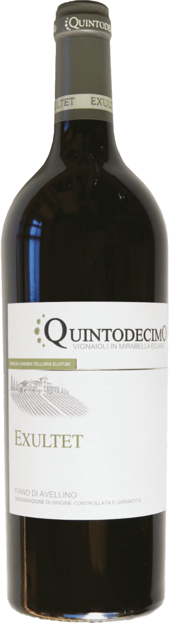 Quintodecimo: Exultet 2022