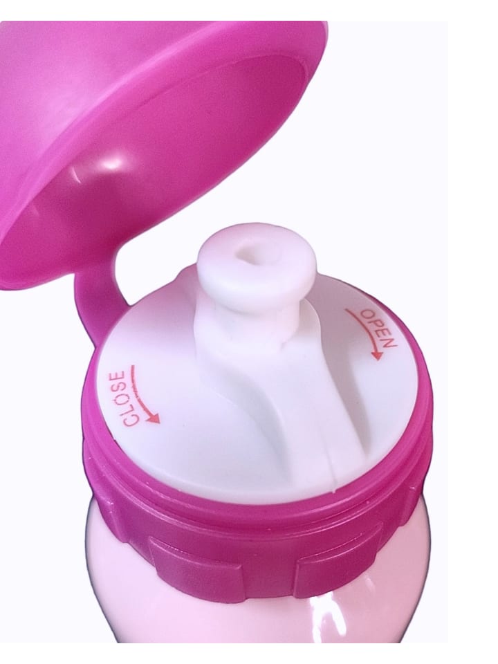 Disney Princess Alu-Trinkflasche Disney Princess 520 ml in Rosa günstig kaufen 6