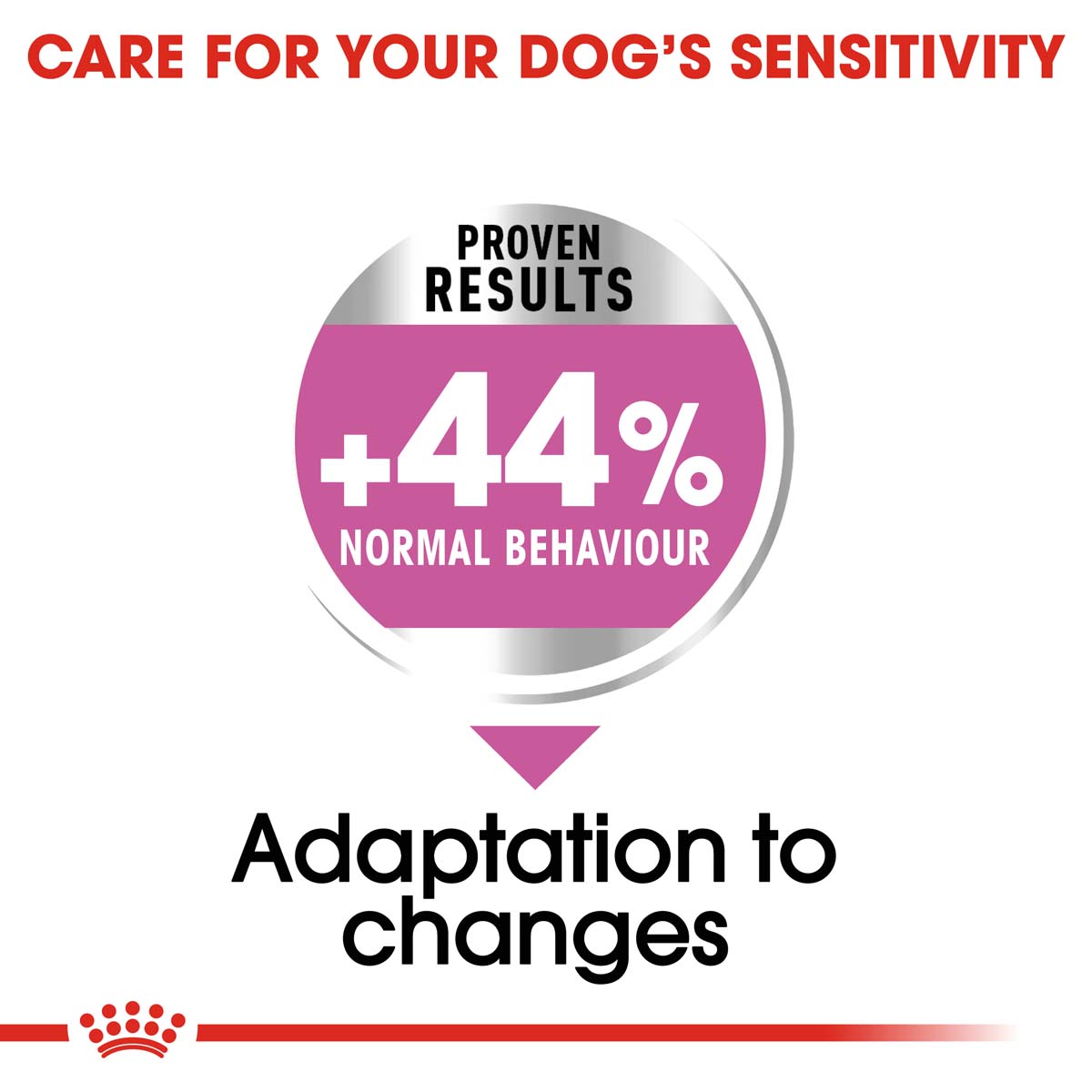 ROYAL CANIN RELAX CARE MEDIUM Trockenfutter für mittelgroße Hunde in unruhigem Umfeld